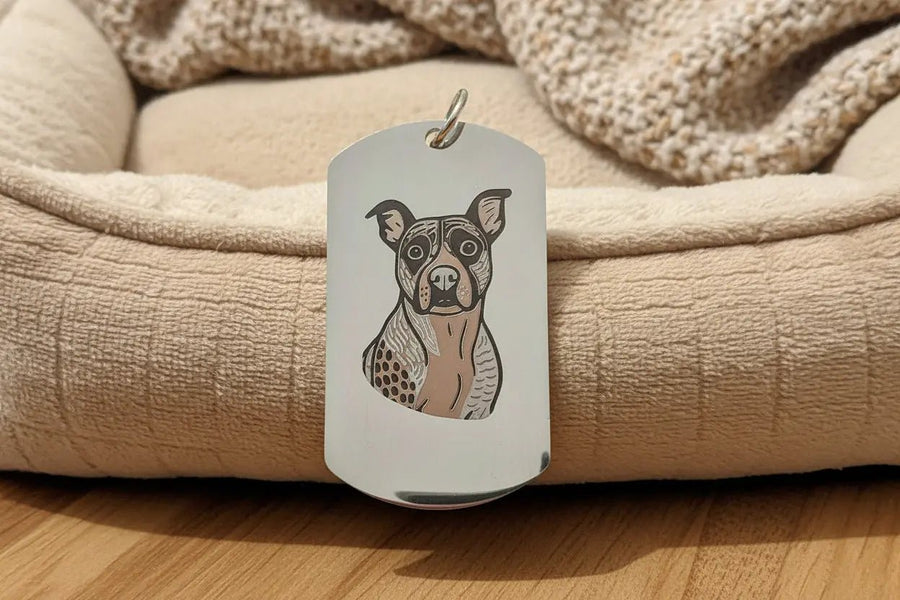 Colour Engraved Stainless Steel Pet Tag - Pixel Burn Custom Laser Creations